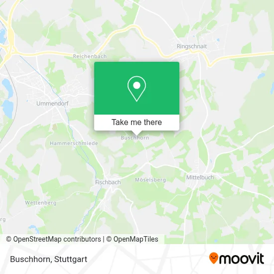 Buschhorn map