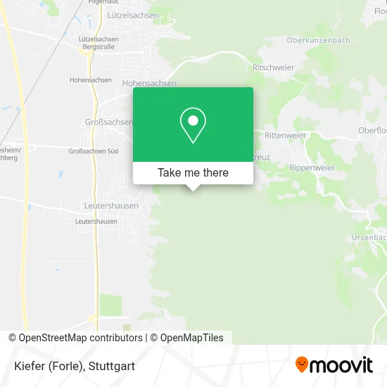 Kiefer (Forle) map