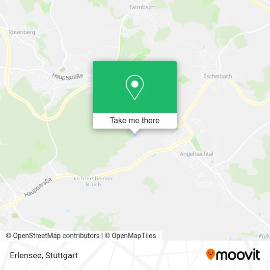 Erlensee map