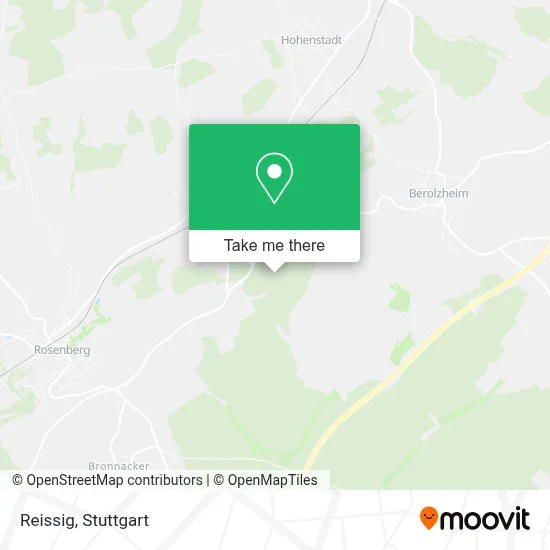 Reissig map