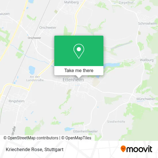 Kriechende Rose map