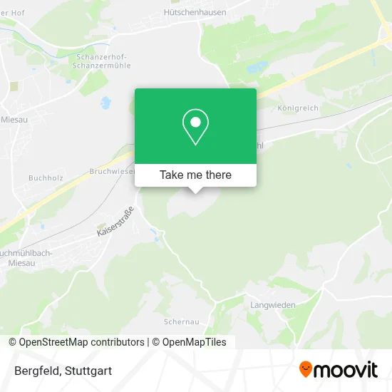 Bergfeld map