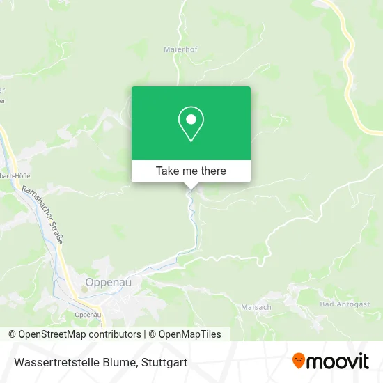 Wassertretstelle Blume map
