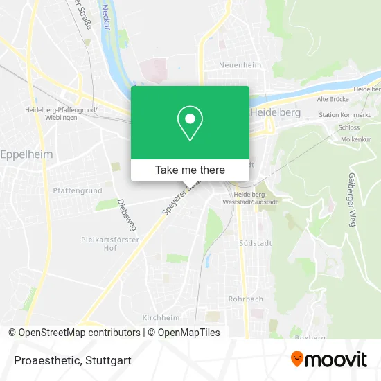 Proaesthetic map