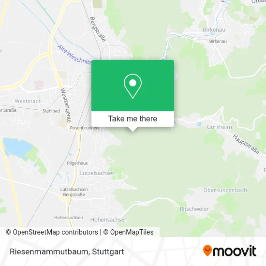 Riesenmammutbaum map