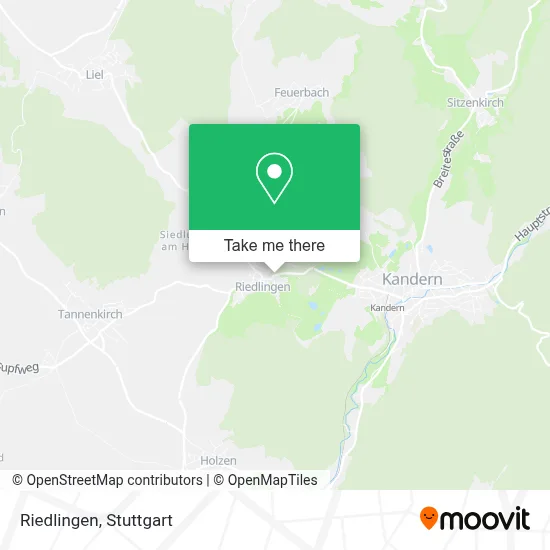 Riedlingen map