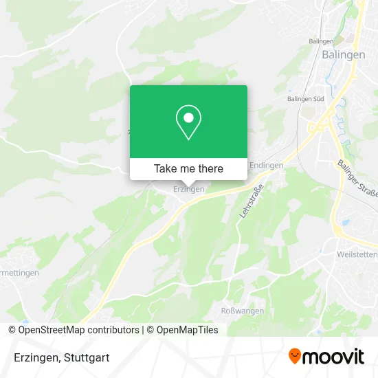 Erzingen map