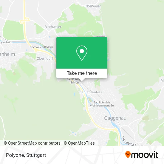Polyone map