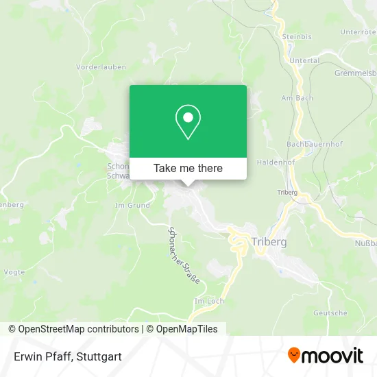 Erwin Pfaff map