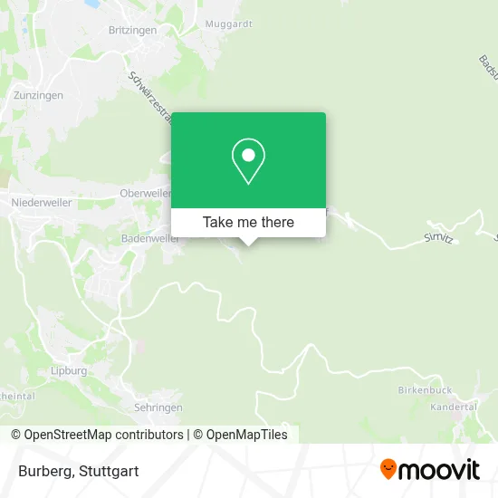 Burberg map