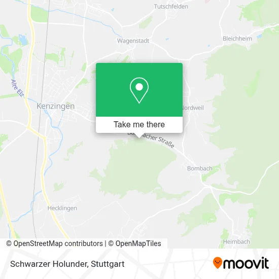 Schwarzer Holunder map