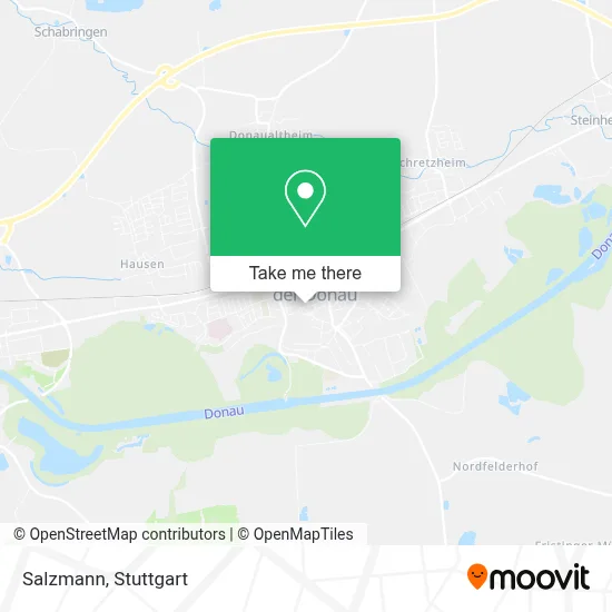 Salzmann map