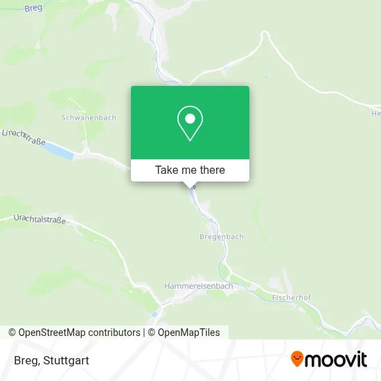 Breg map