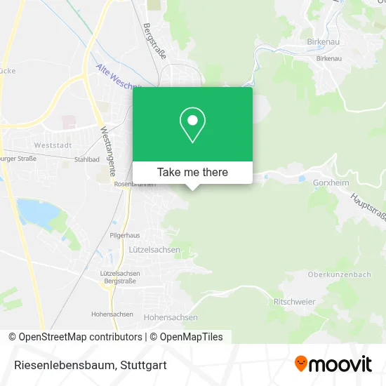 Riesenlebensbaum map