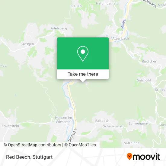 Rotbuche map