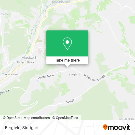 Bergfeld map