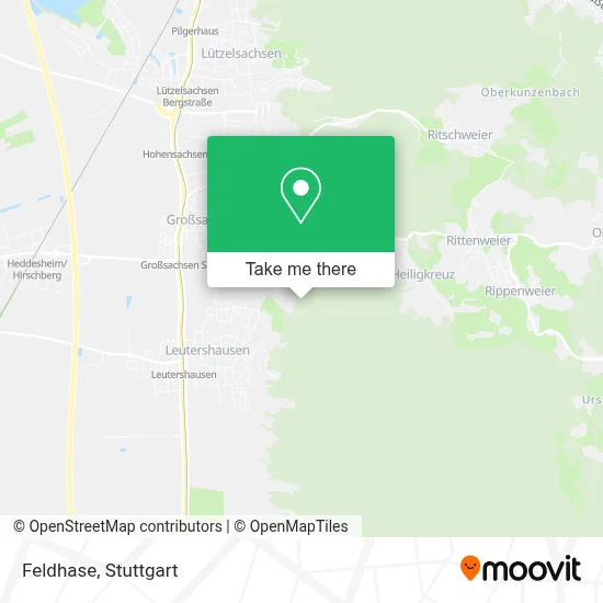 Feldhase map