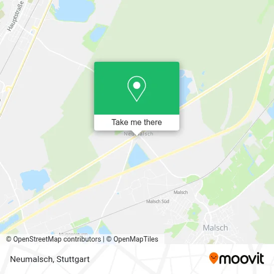 Neumalsch map