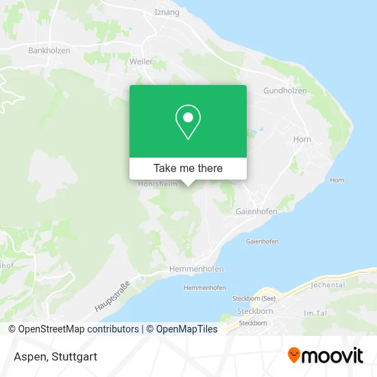 Aspen map