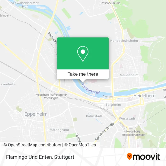 Flamingo Und Enten map