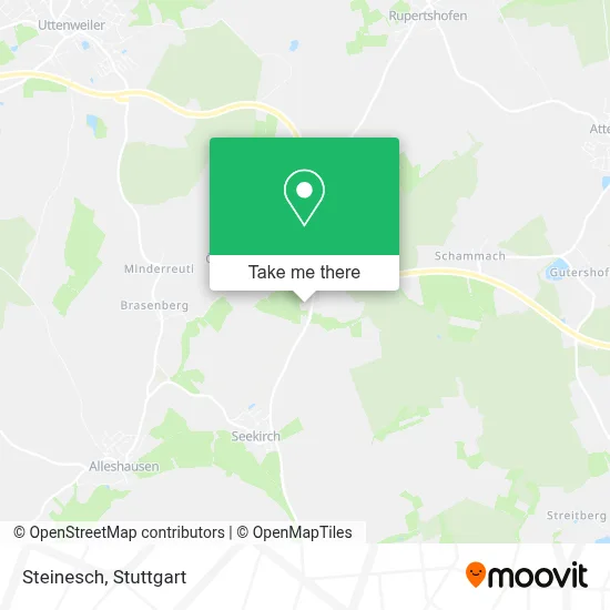 Steinesch map