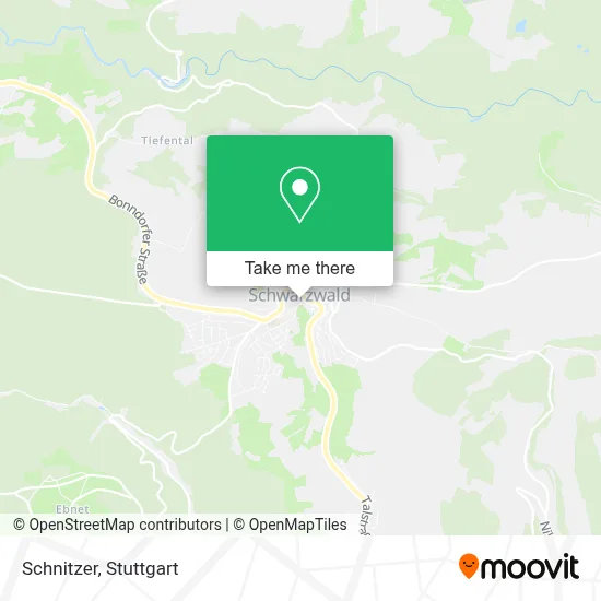 Schnitzer map