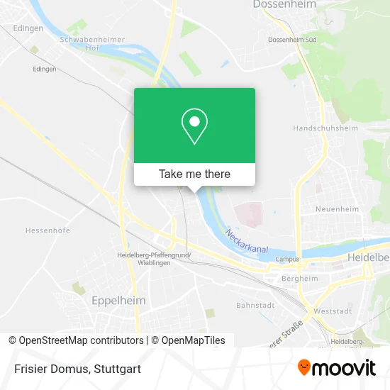 Frisier Domus map