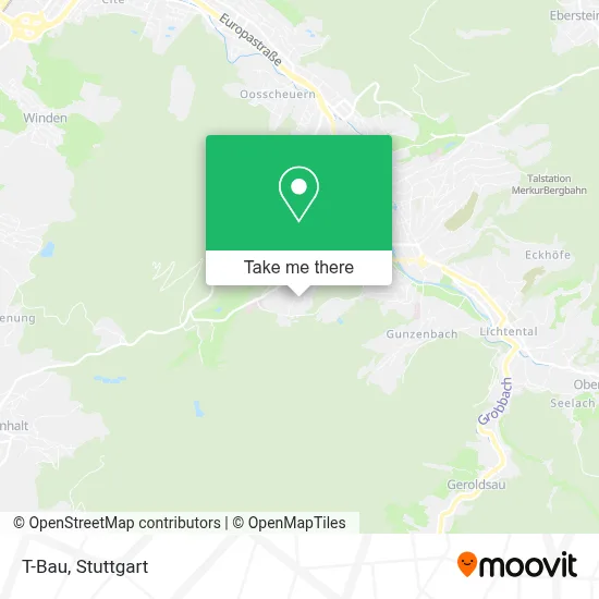 T-Bau map