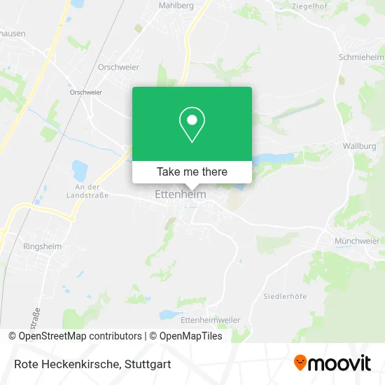 Rote Heckenkirsche map