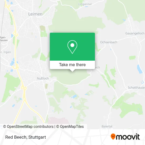 Rotbuche map