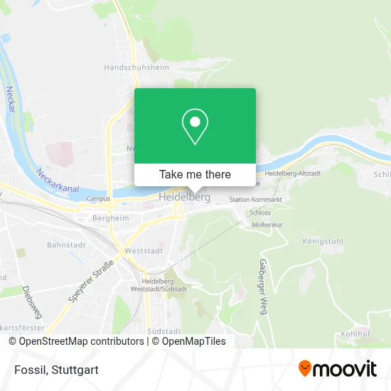 Fossil map