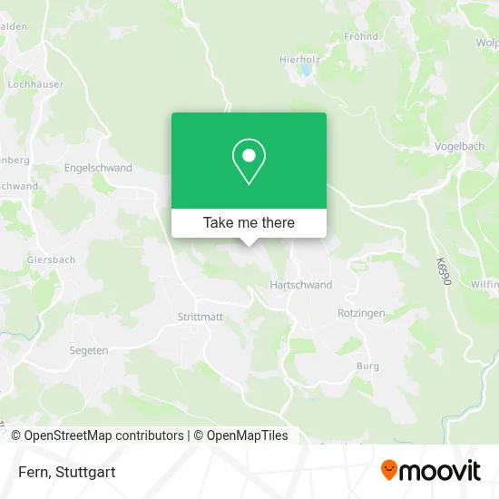 Fern map