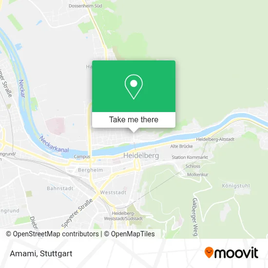 Amami map