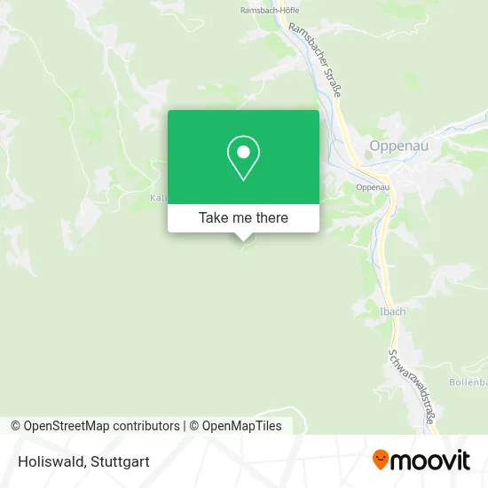 Holiswald map