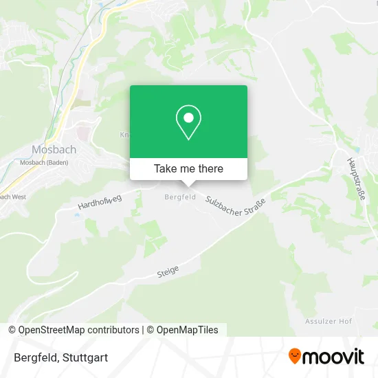 Bergfeld map