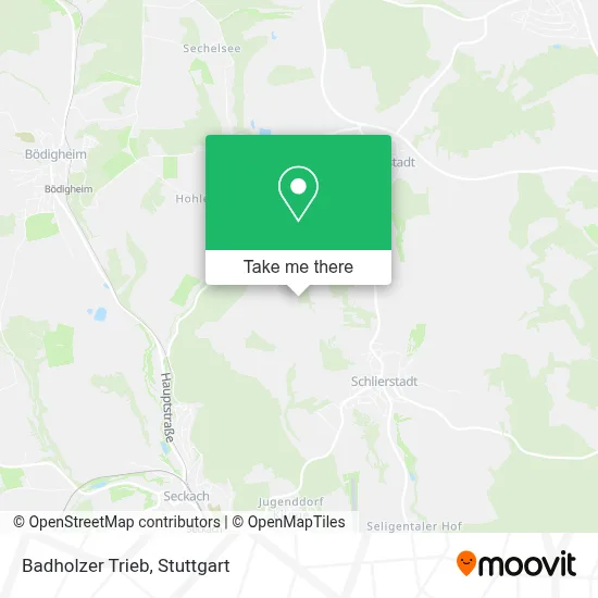 Badholzer Trieb map