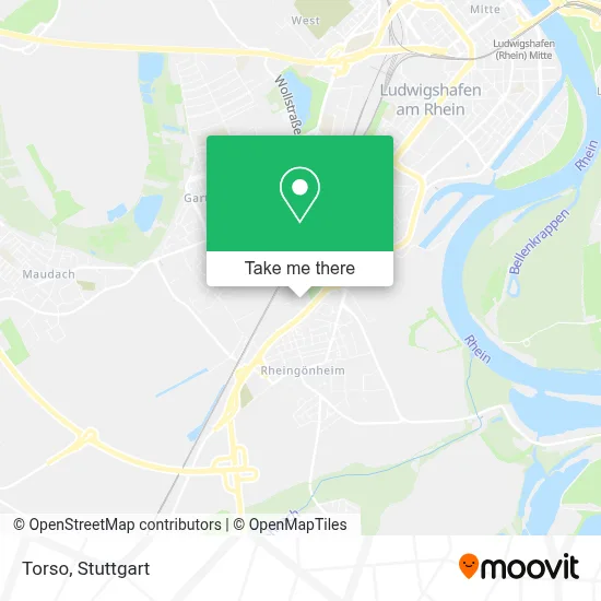 Torso map