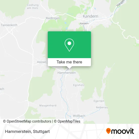 Hammerstein map