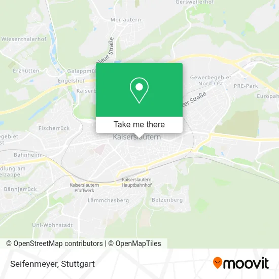 Seifenmeyer map