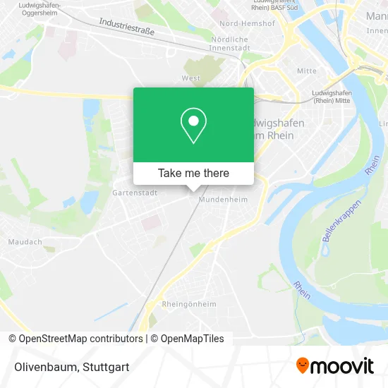 Olivenbaum map