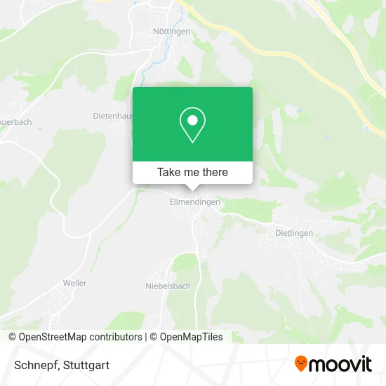 Schnepf map