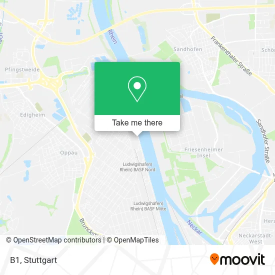 B1 map