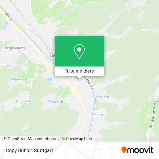 Copy Bühler map