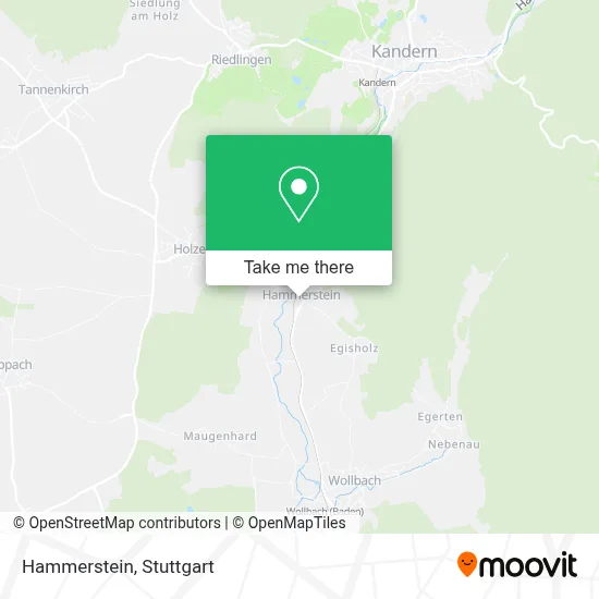 Hammerstein map