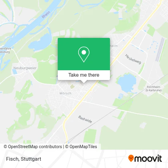 Fisch map