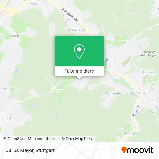Julius Mayer map
