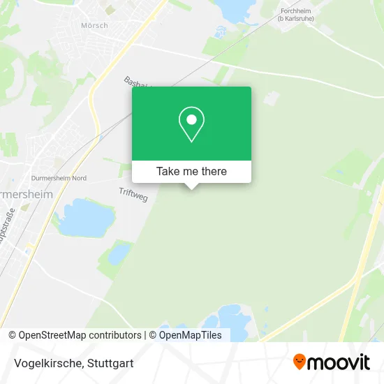 Vogelkirsche map