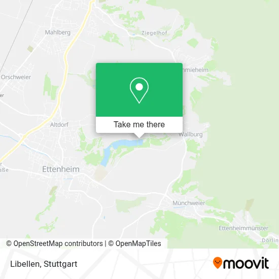 Libellen map