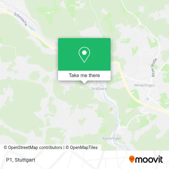 P1 map