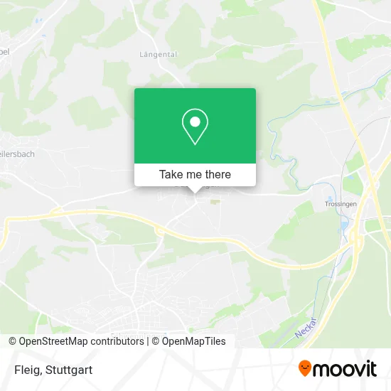 Fleig map